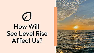Sea Level Rise Impacts: How Climate Change Affects Us | SubjectToClimate