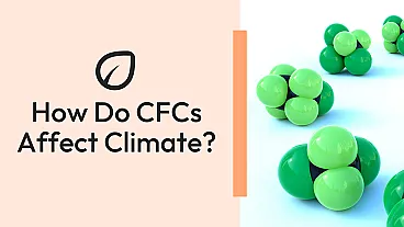 How Do CFCs Affect Climate? | SubjectToClimate
