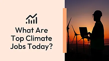 What Are Top Climate Jobs Today? | SubjectToClimate