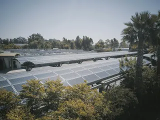 stc