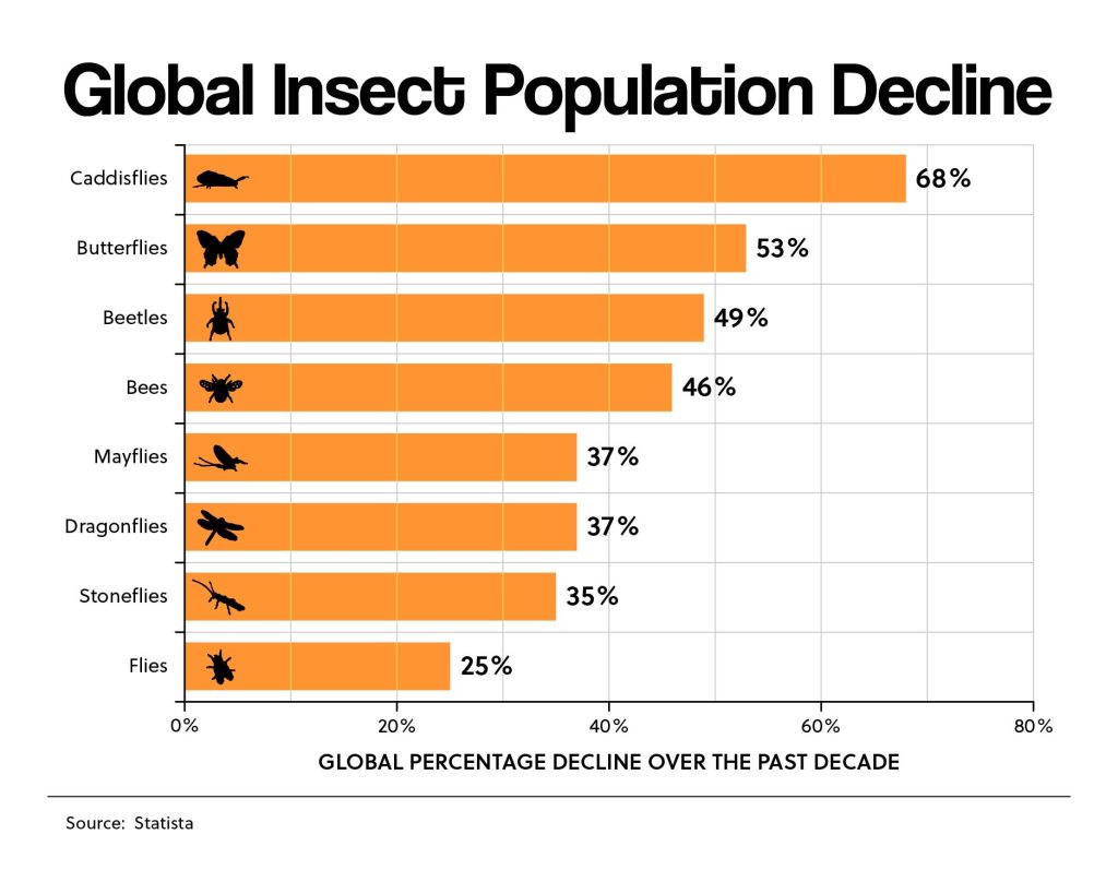 Insects Decline Even in Remote US Areas
