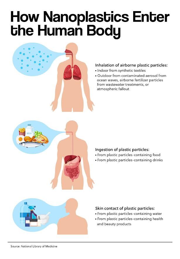 Peer Review Questions Studies on Microplastics in Human Body