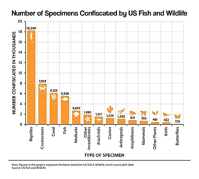 Number of Specimens Confiscated by US Fish and Wildlife