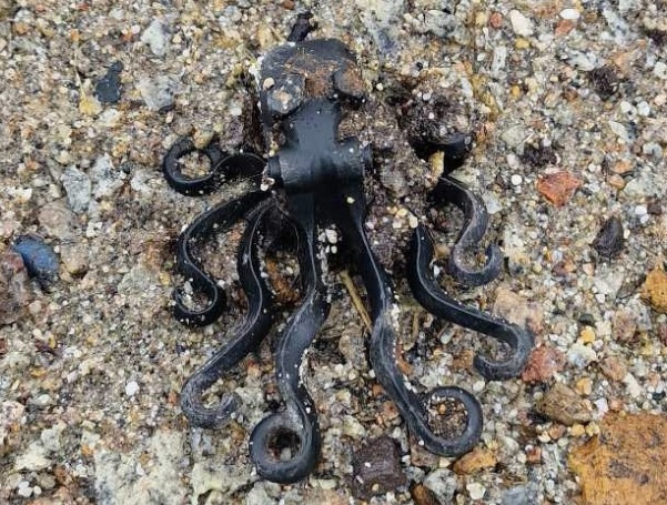 Teen Finds: 1997 Lego Spill Treasure Washed Ashore