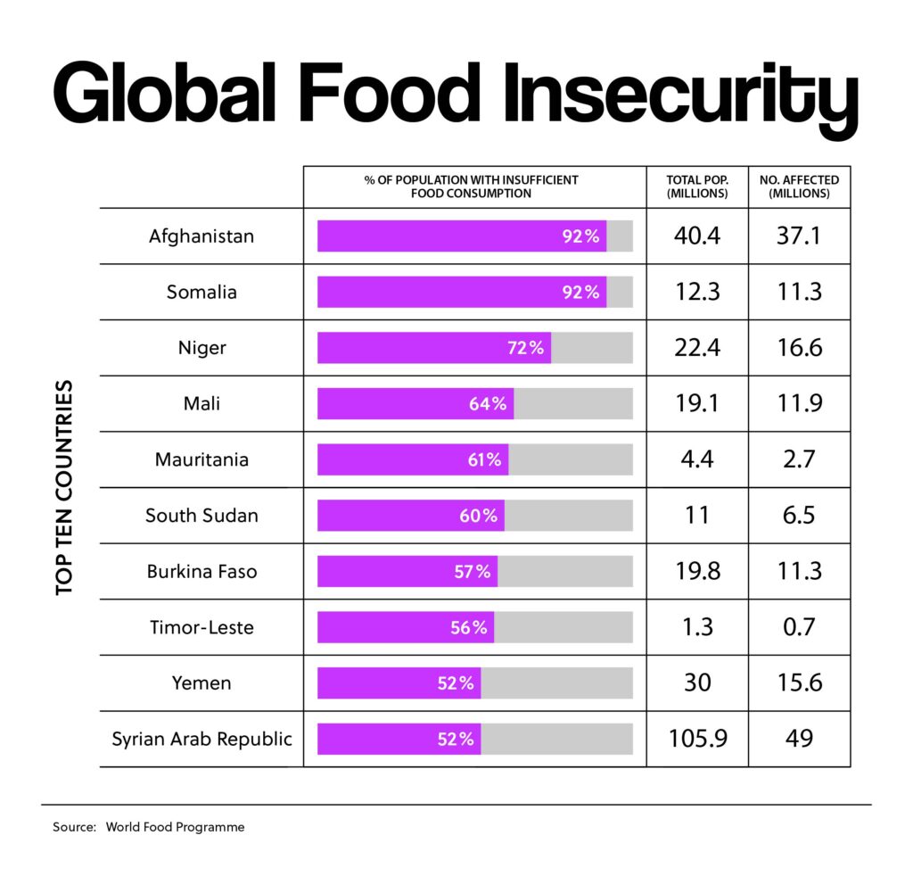 Global Food Insecurity