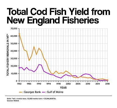 Total Cod Fish Yield from New England Fisheries