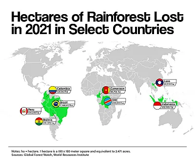 Hectares of Rainforest Lost in 2021 in Select Countries